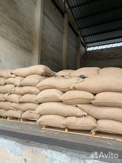 Какао бобы оптом