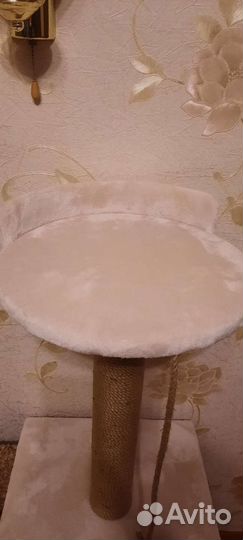 Когтеточка