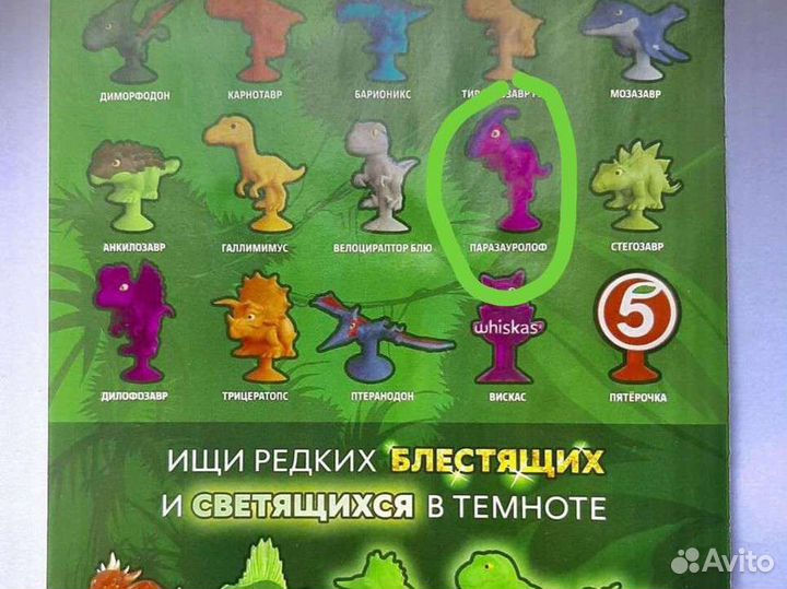 Завры пятерочка