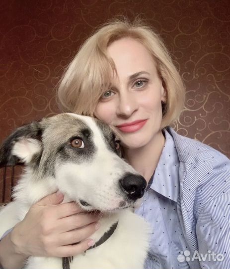 Помощник руководителя