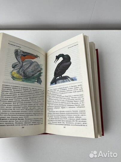 Красная книга СССР