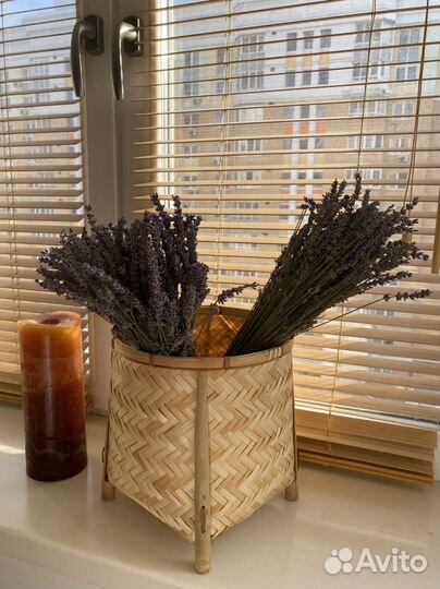 Лаванда сухоцвет пучок