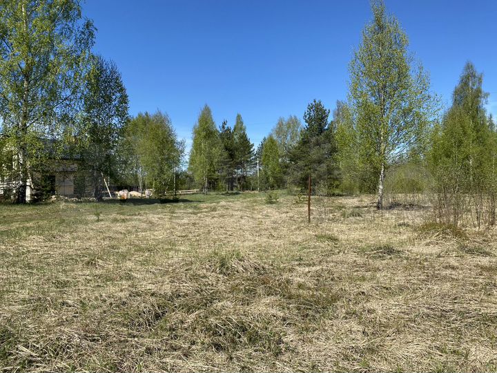 Участок 10 сот. (ИЖС)