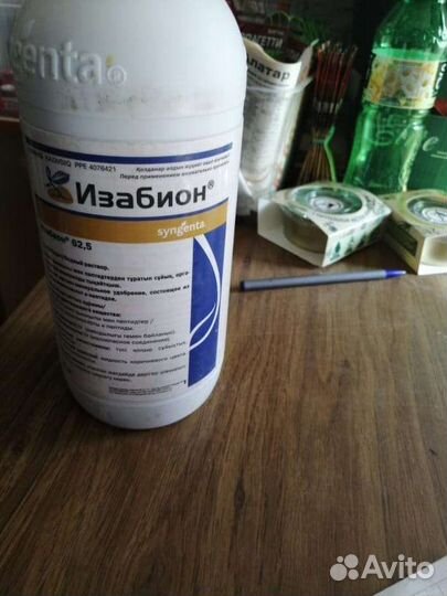 Изабион