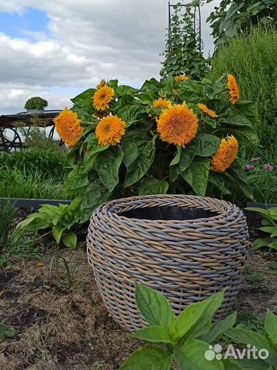 Кашпо из искусственного ротанга