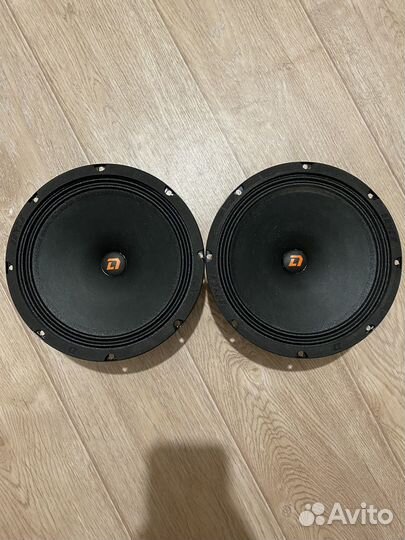 Динамик DL Audio Raven 200