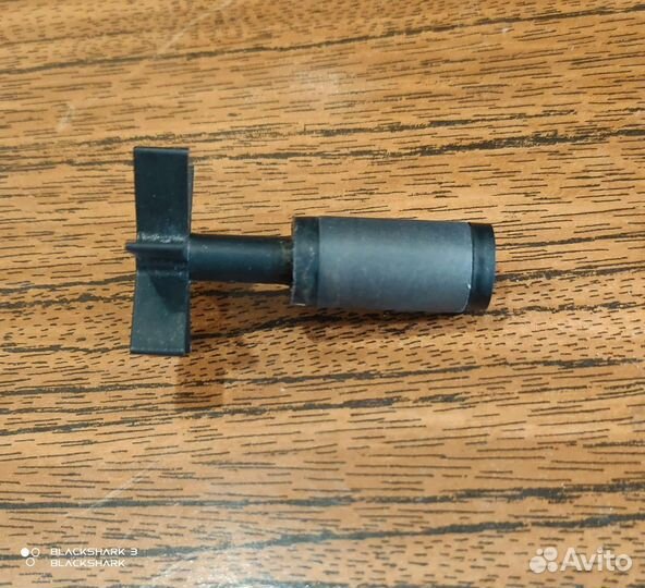 Большой аквариум и не только