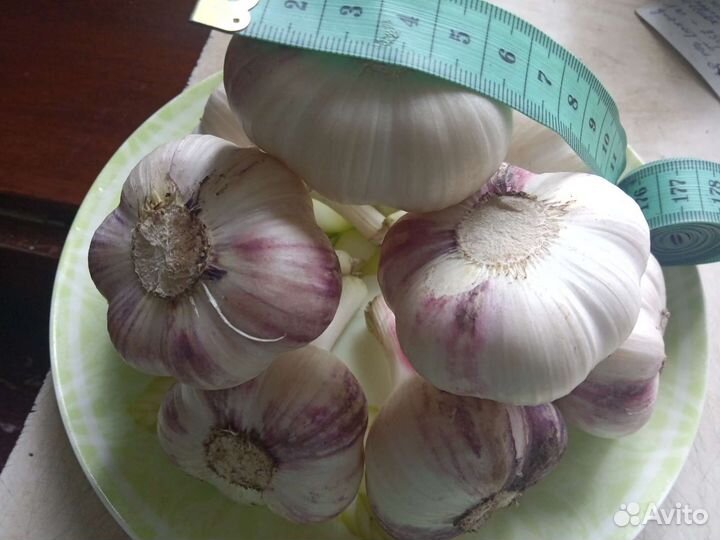 Варенье.соленья,огурцы св. чеснок