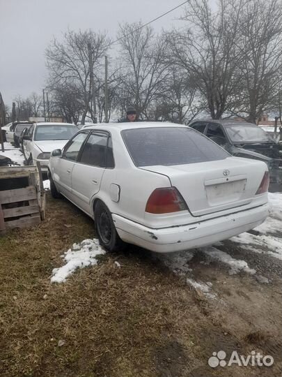 Тойота карина