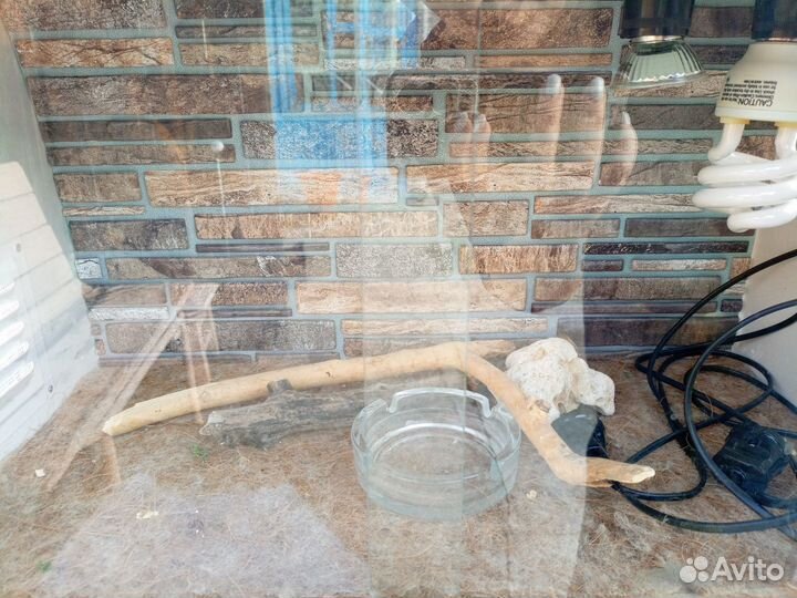 Продам террариум