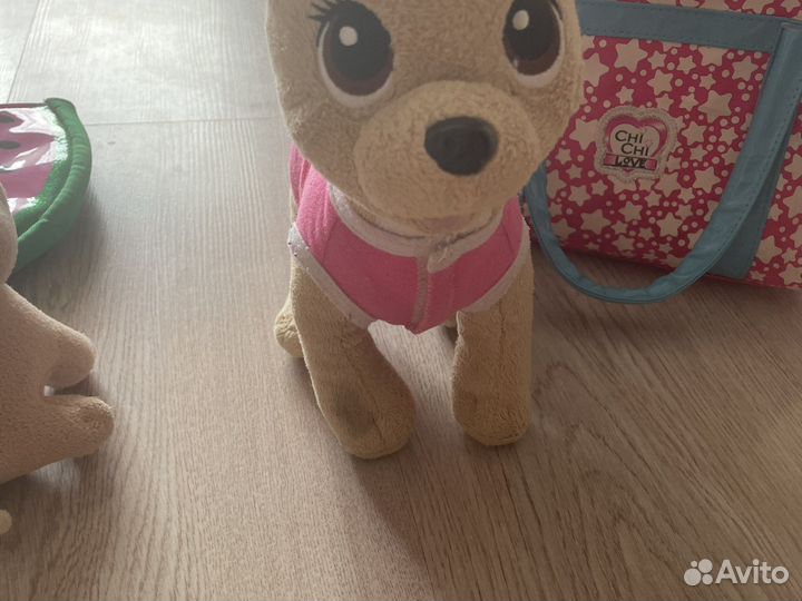 Chi chi love чичилав собака