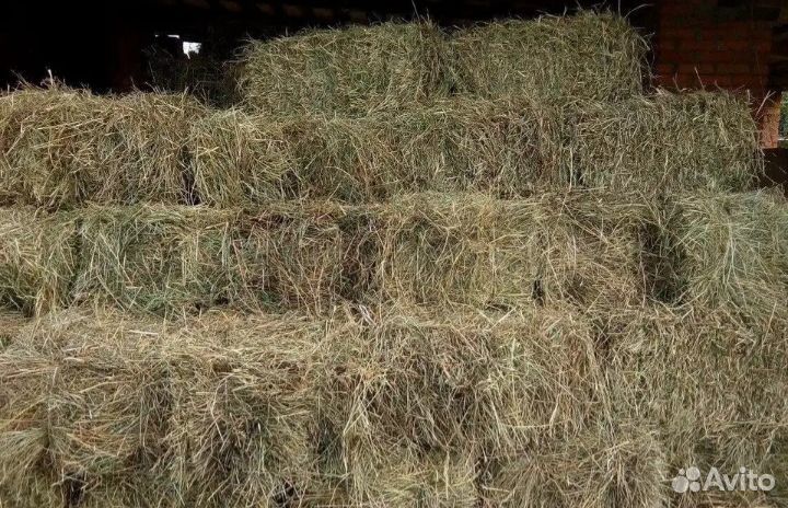 Сено в тюках