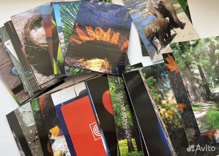 Мужчина и Женщина; Тотемные животные; Таро Манара;