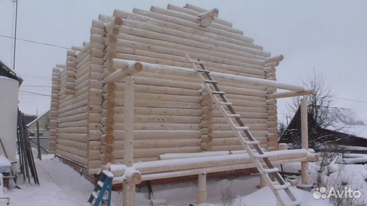 Срубы Без Посредников