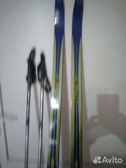 Беговые лыжи