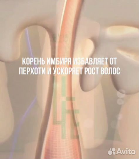 Шампунь от перхоти