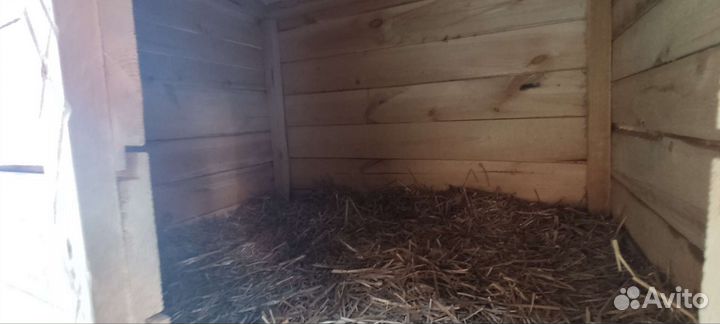 Будка для собаки