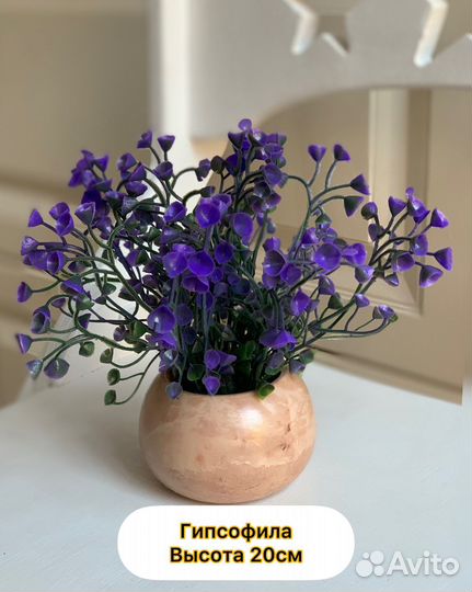 Цветы в гипсовом кашпо