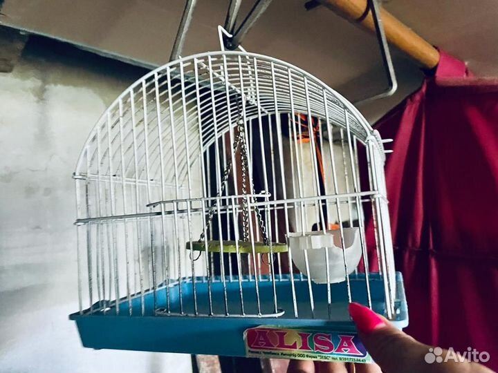 Клетка для грызунов