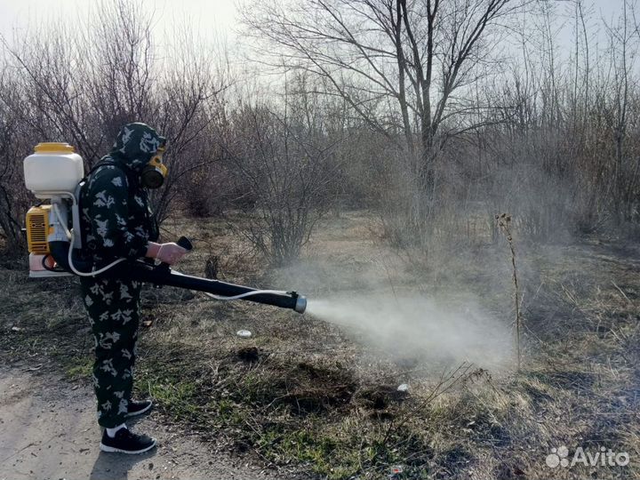 Обработка участков от комаров, клещей, мух