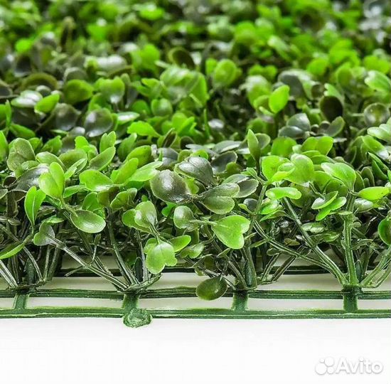 Декоративая зелень