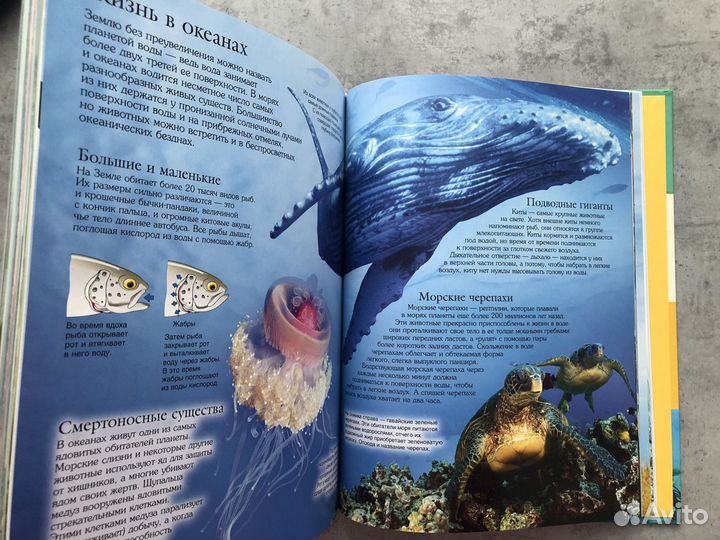 2 новых книги Энциклопедия самых интересных фактов