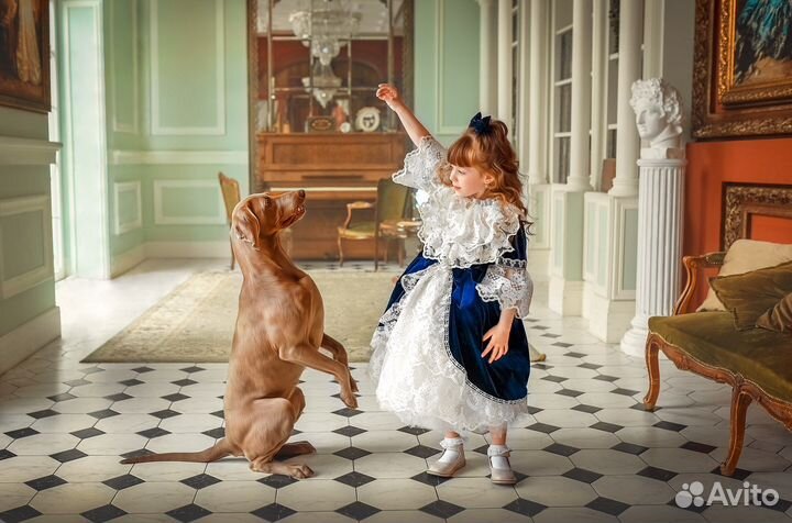Собака для фотосессии