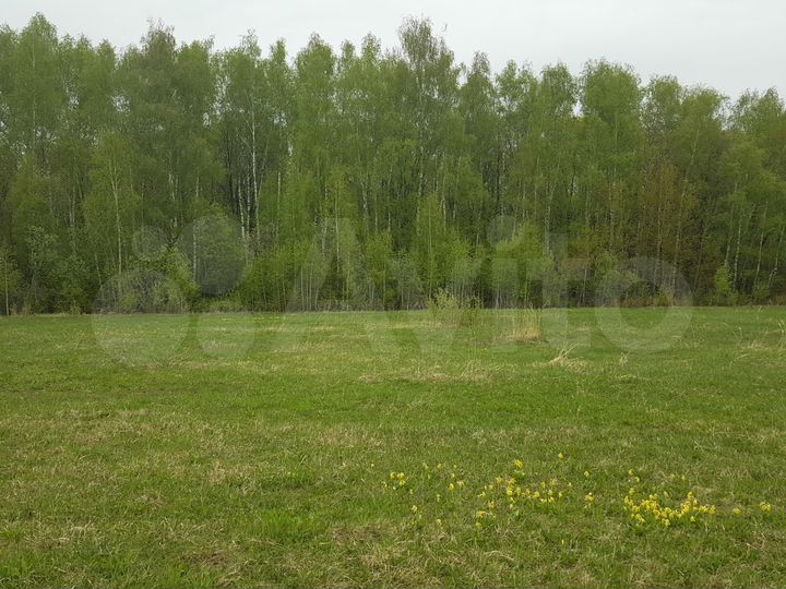 Участок 45 га (СНТ, ДНП)