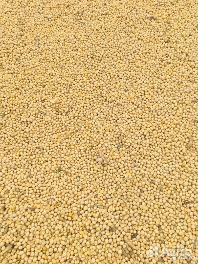 Комбикорм для бройлеров пурина рост стар профи ком