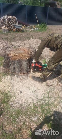 Спил деревьев, удаление пней, расчистка участка