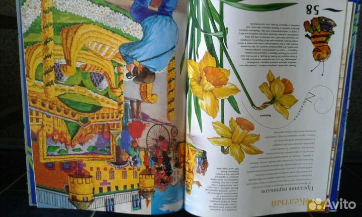 Книга Цветы