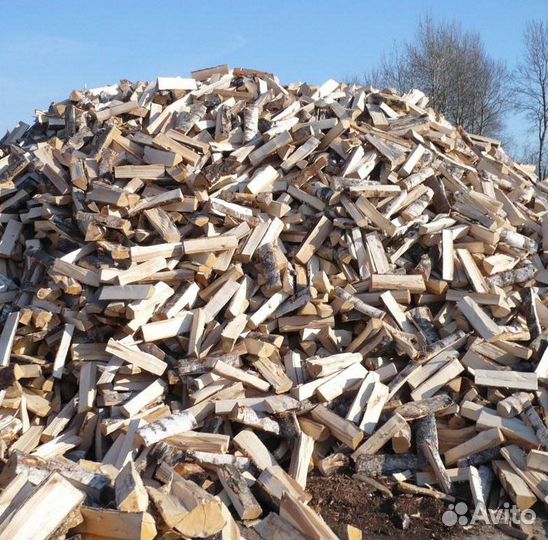 Сухие дрова из берёзы