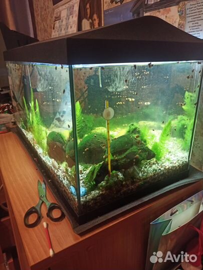 Аквариум 50 л Aquael