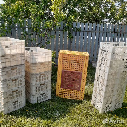 Пластиковые ящики бу остались маленькие ящики