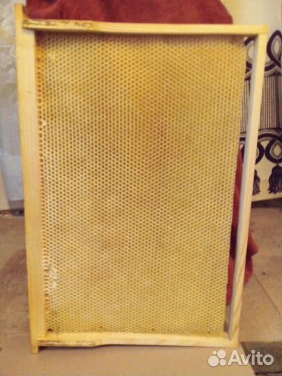 Сушь для пчел