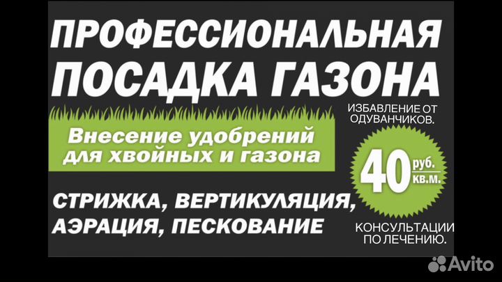 Профессиональный посев газона и уход