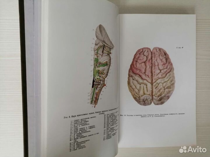 Нервные болезни (2001г.) / Х. Ходос