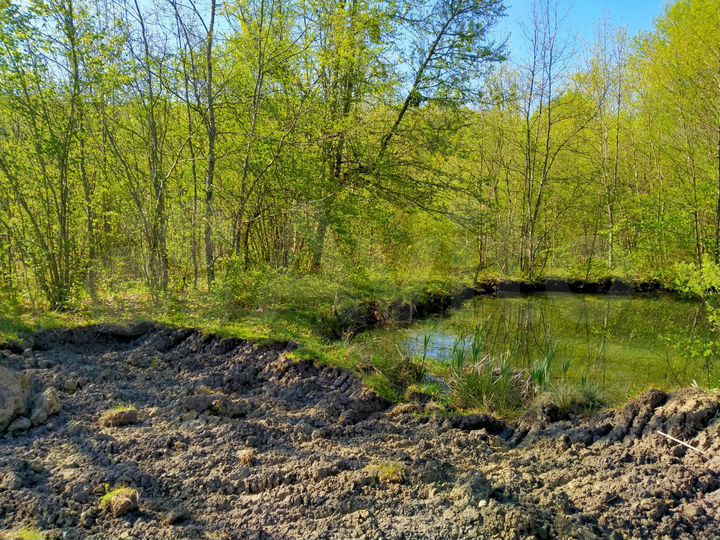 Участок 100 сот. (СНТ, ДНП)