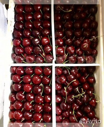 Черешня (Крупная,сладкая )