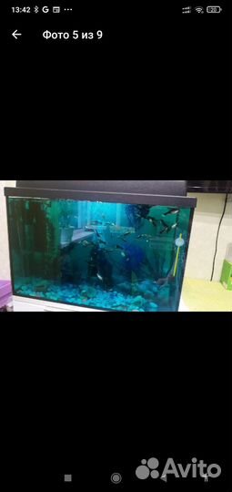 Аквариум