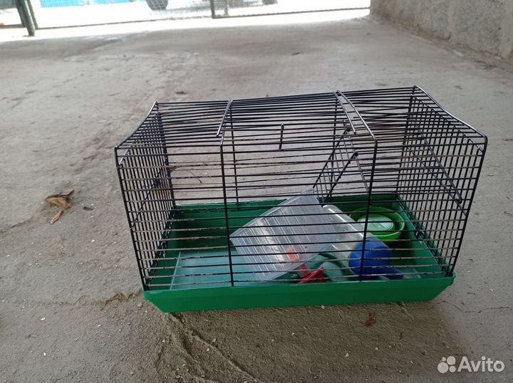 Клетки для джунгарского хомяка