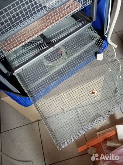 Инкубатор тгб-210