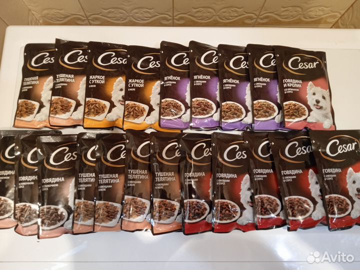 Влажный корм для собак, паучи