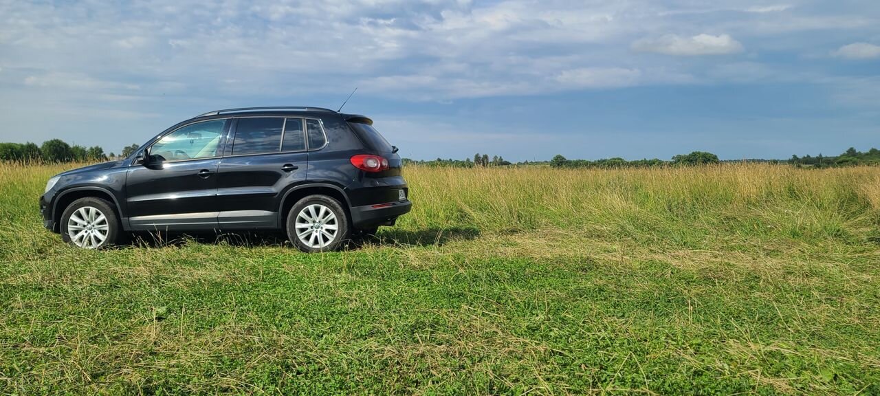 Volkswagen Tiguan: фото владельца