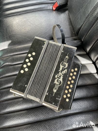 Гармонь детская шуя