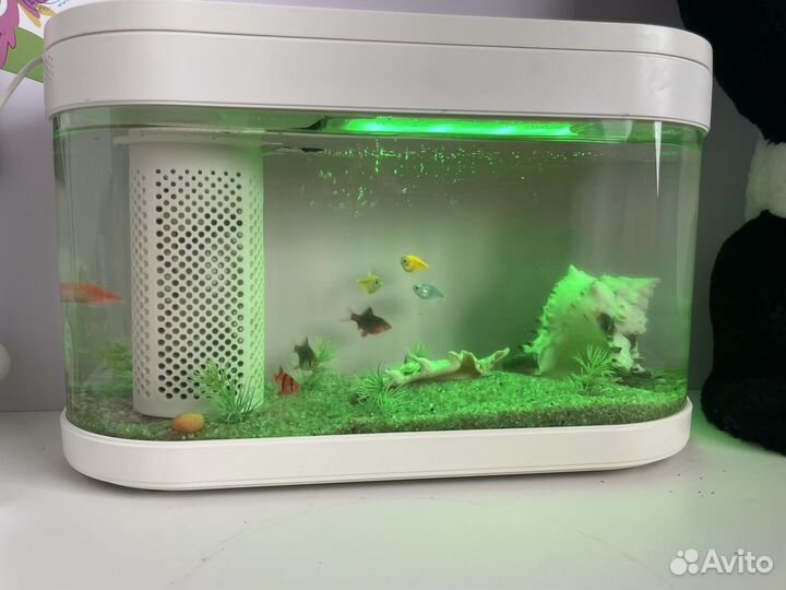 Аквариум xiaomi