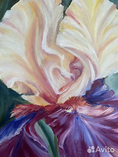 Картина Ирис