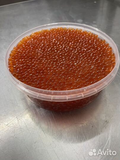 Икра красная 500гр 2023г