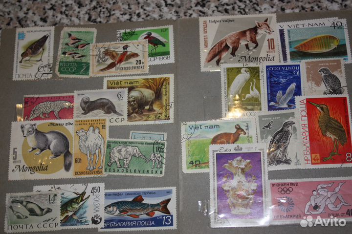 Коллекционные марки