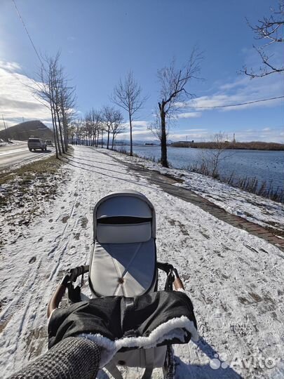 Коляска 2 в 1 Roan Bass Next